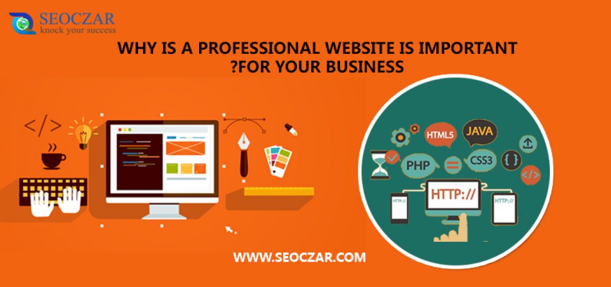 Why-is-a-professional-website-is-important-for-your-business-