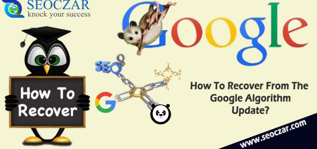 How To Recover From The Google Algorithm Update