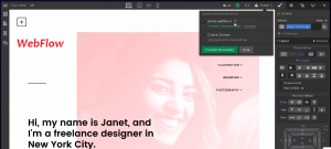 web flow screenshot