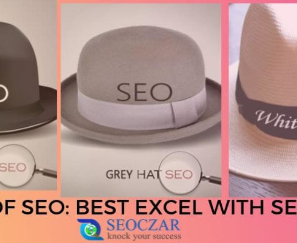 Types of SEO: Best Excel with Seoczar